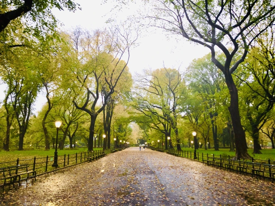 IMG_3136.jpg?type=w966