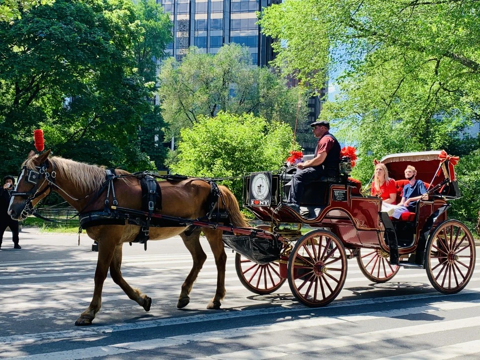 IMG_8172.jpg?type=w966