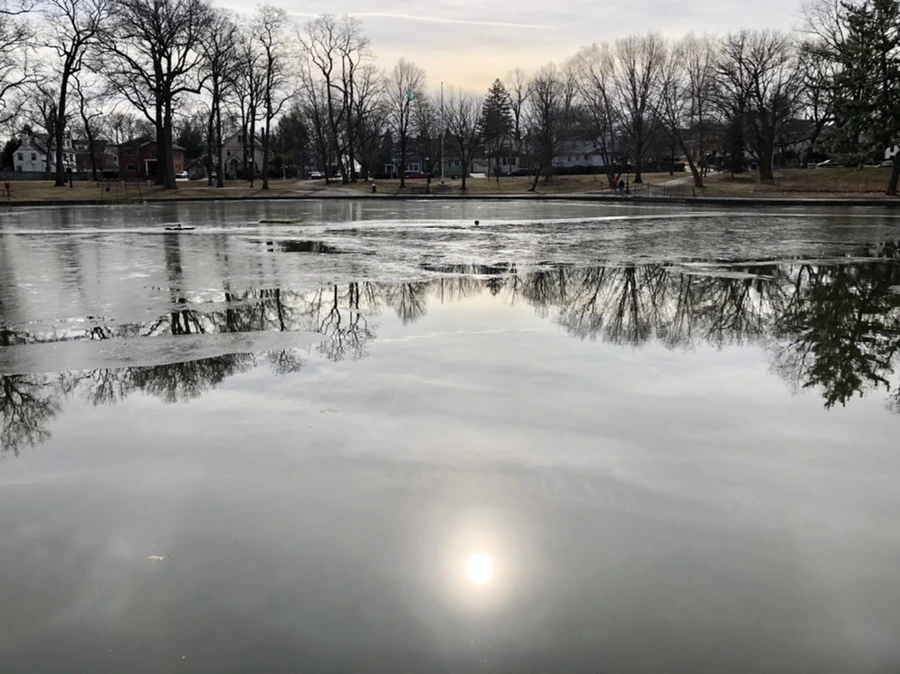 IMG_5786.jpg?type=w966