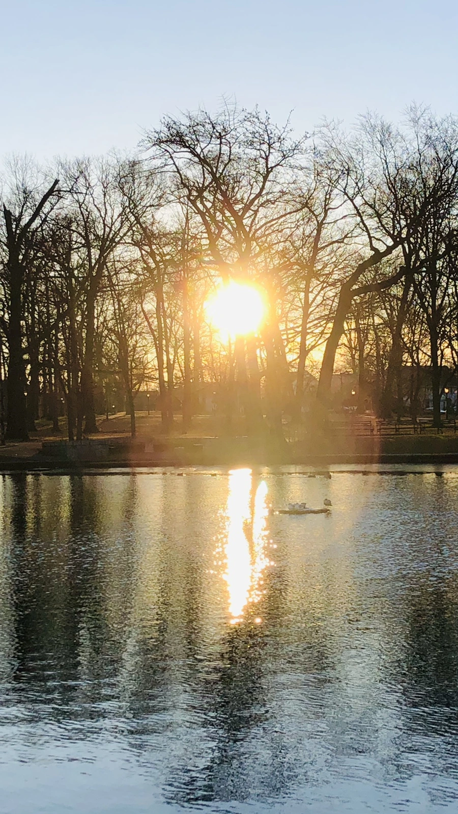 IMG_0801.jpg?type=w966