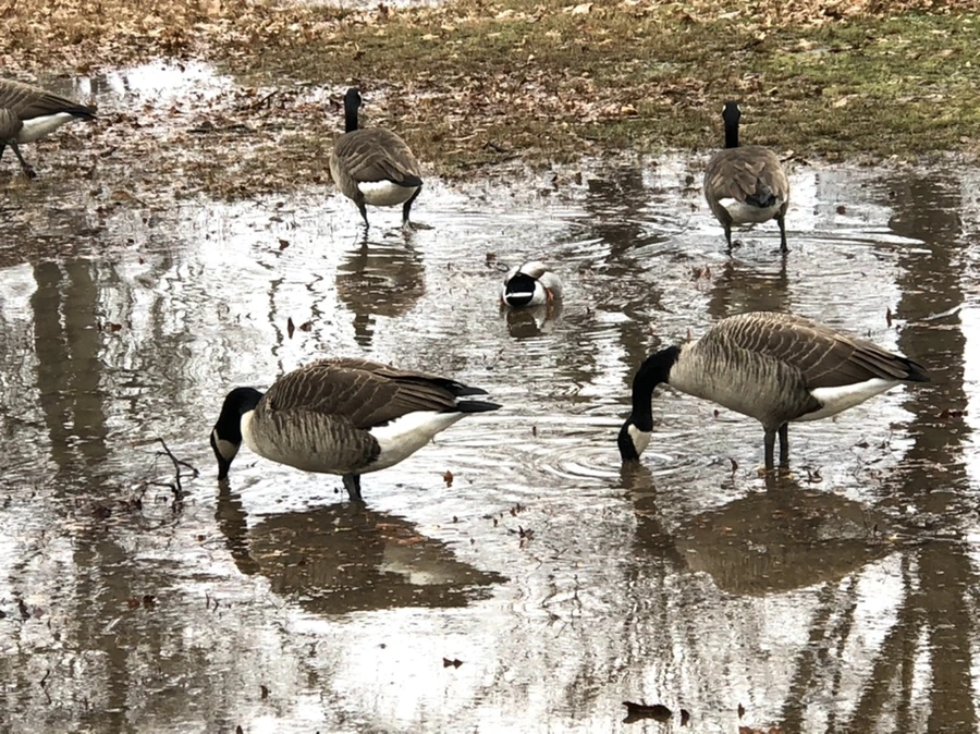 IMG_9502.jpg?type=w966