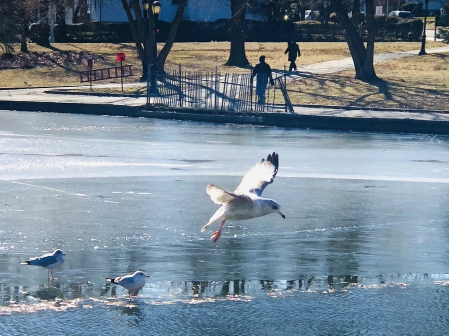 IMG_6829.jpg?type=w966