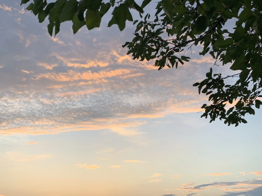 IMG_1204.jpg?type=w966