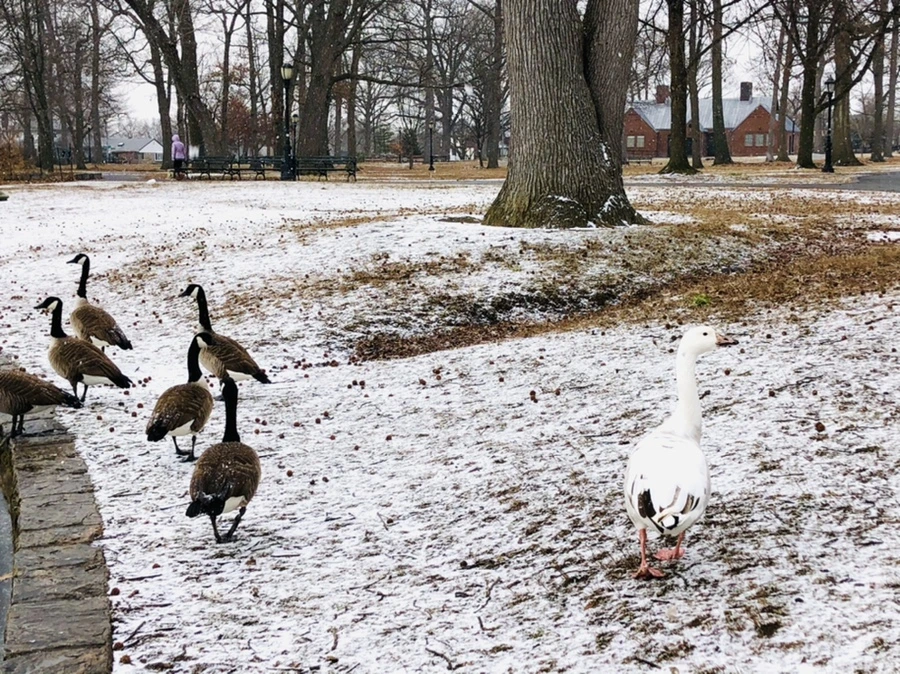 IMG_5917.jpg?type=w966