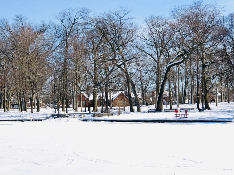 IMG_1349.jpg?type=w966