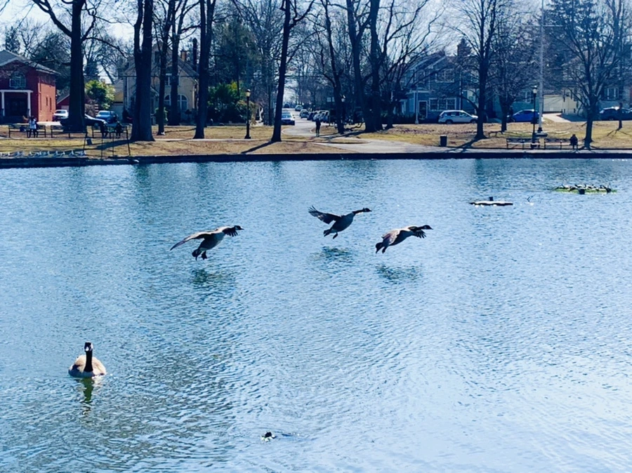 IMG_9461.jpg?type=w966