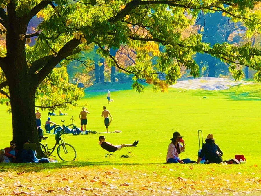 IMG_4348.jpg?type=w966