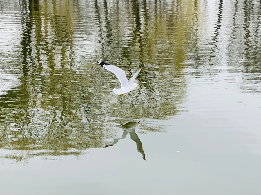 IMG_3853.jpg?type=w966