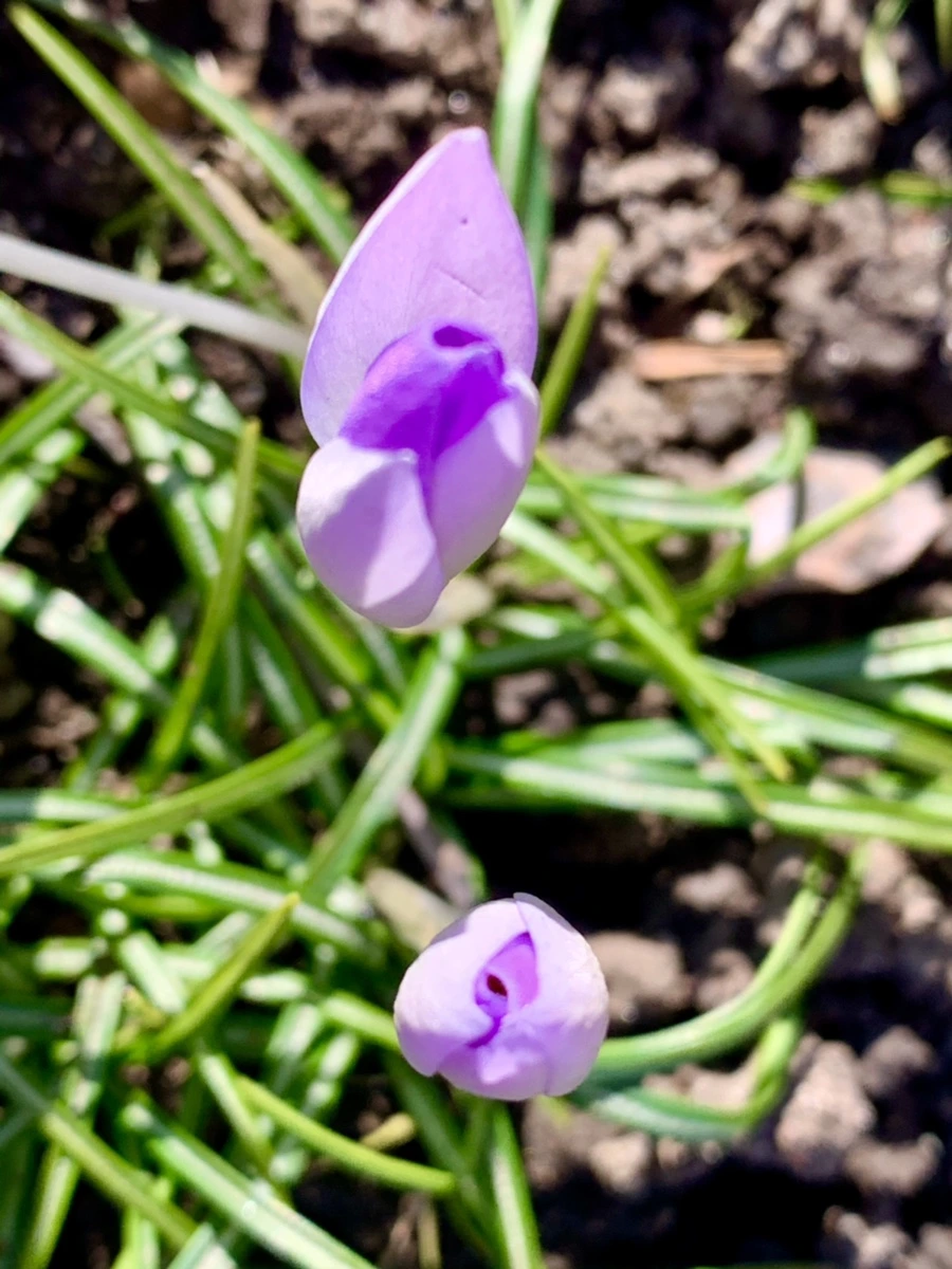 IMG_7485.jpg?type=w966