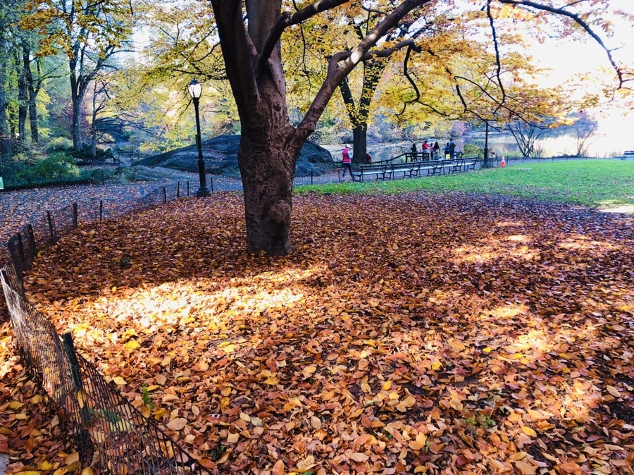 IMG_4223.jpg?type=w966