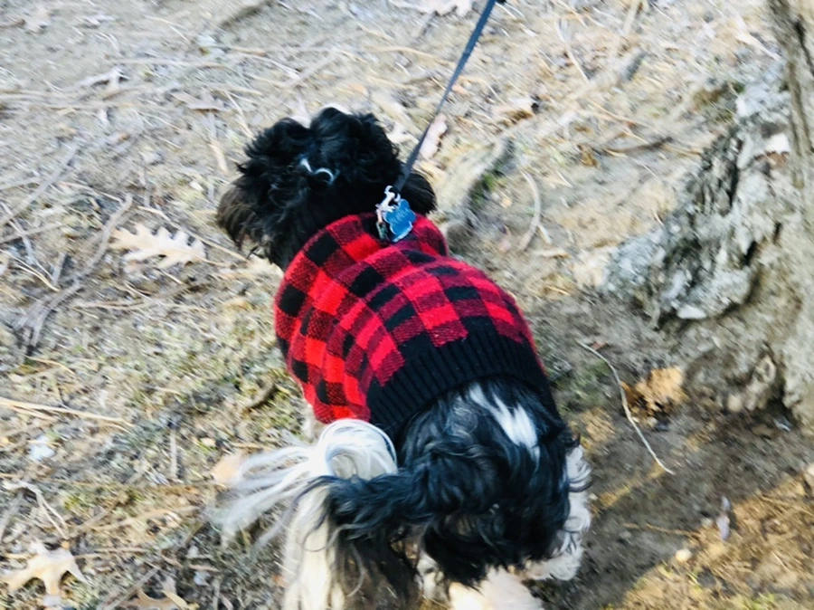 IMG_2283.jpg?type=w966