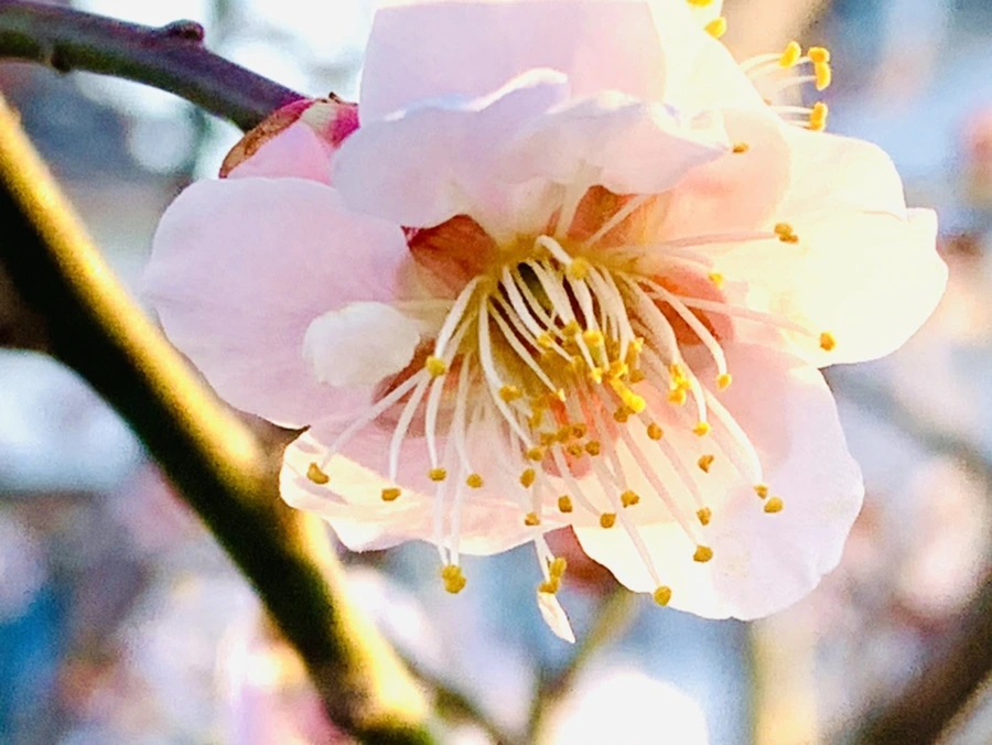 IMG_0921.jpg?type=w966