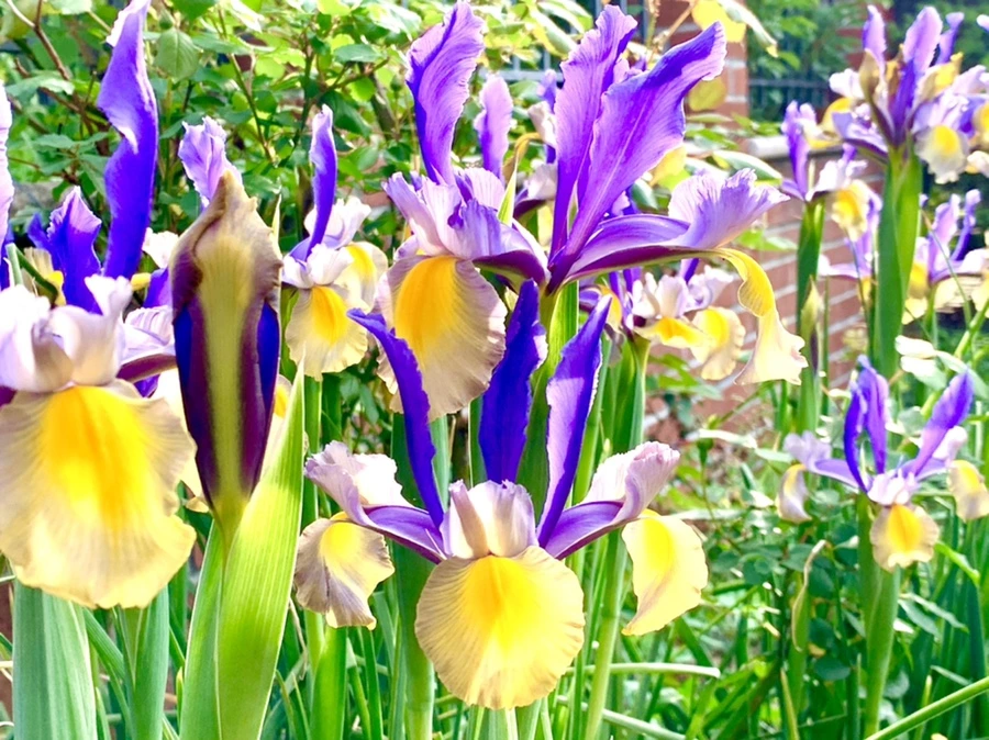 IMG_9093.jpg?type=w966