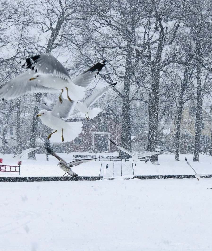 0eYH5GEUt9d0XekS0zOJVOCV-lM