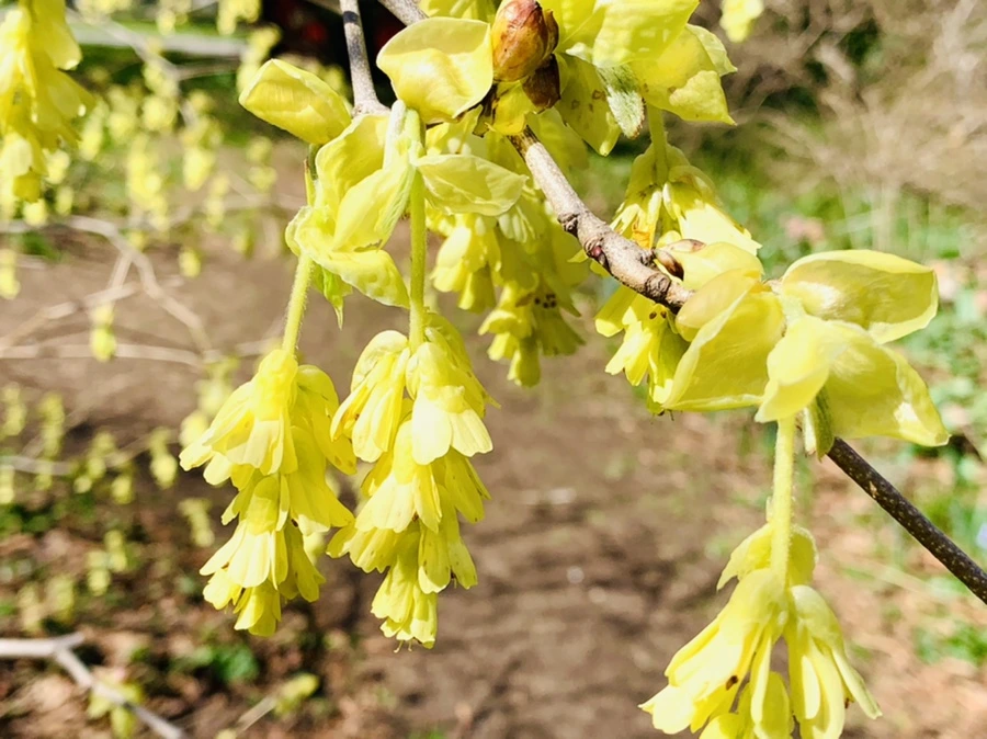 IMG_5792.jpg?type=w966