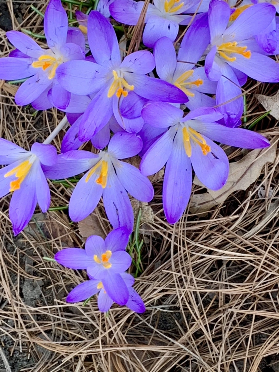 IMG_9749.jpg?type=w966