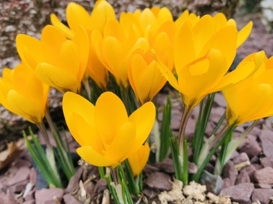 IMG_0548.jpg?type=w966