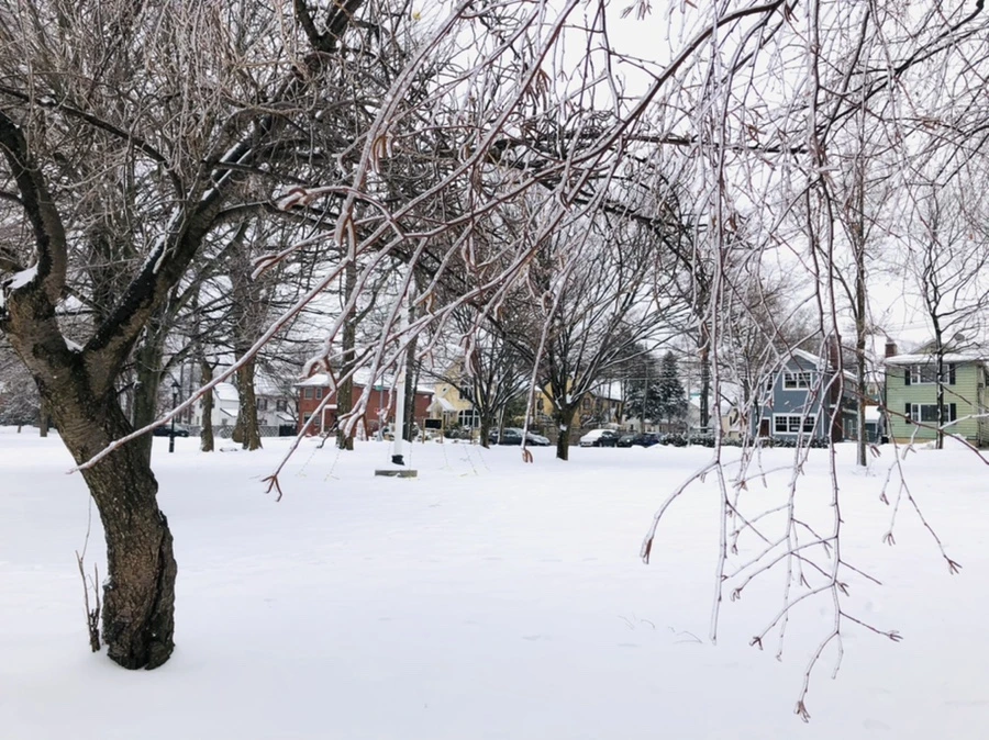 IMG_3689.jpg?type=w966