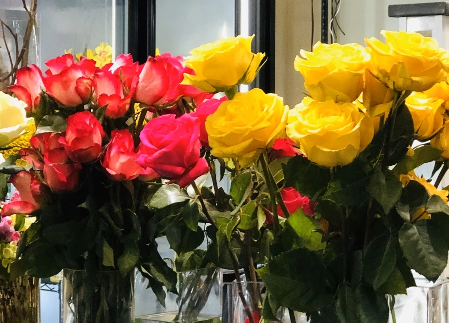 IMG_6410.jpg?type=w966