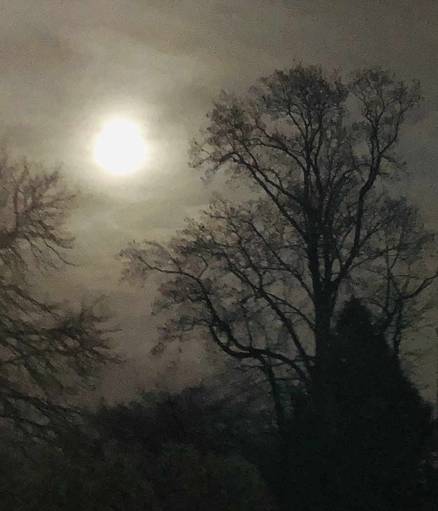 yPTF-QJJmz3IbIz-3ti2Ok_vWV4