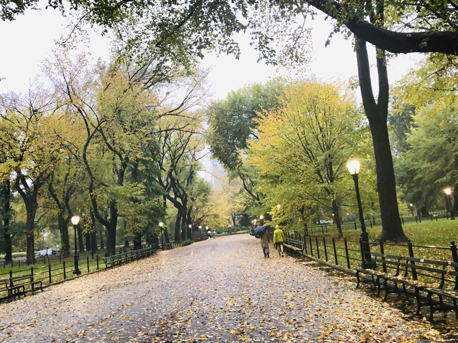 IMG_3135.jpg?type=w966