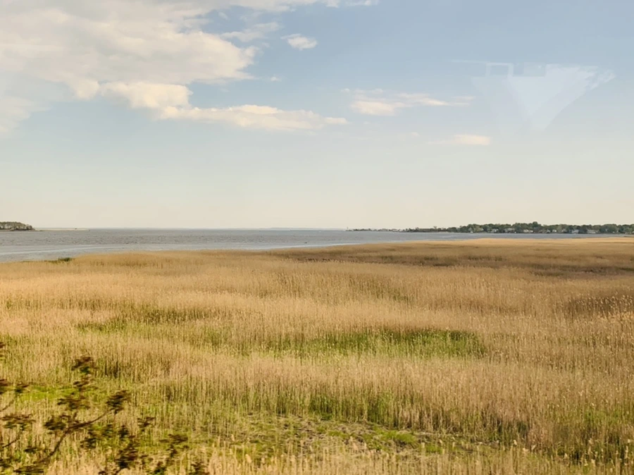 IMG_3200.jpg?type=w966