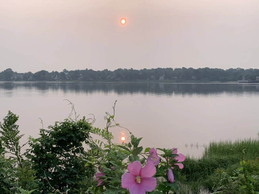 IMG_8108.jpg?type=w966