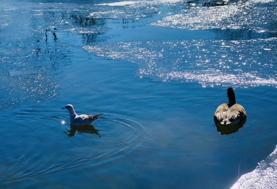 IMG_7749.jpg?type=w966