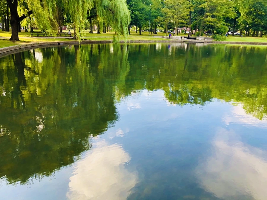 IMG_2944.jpg?type=w966