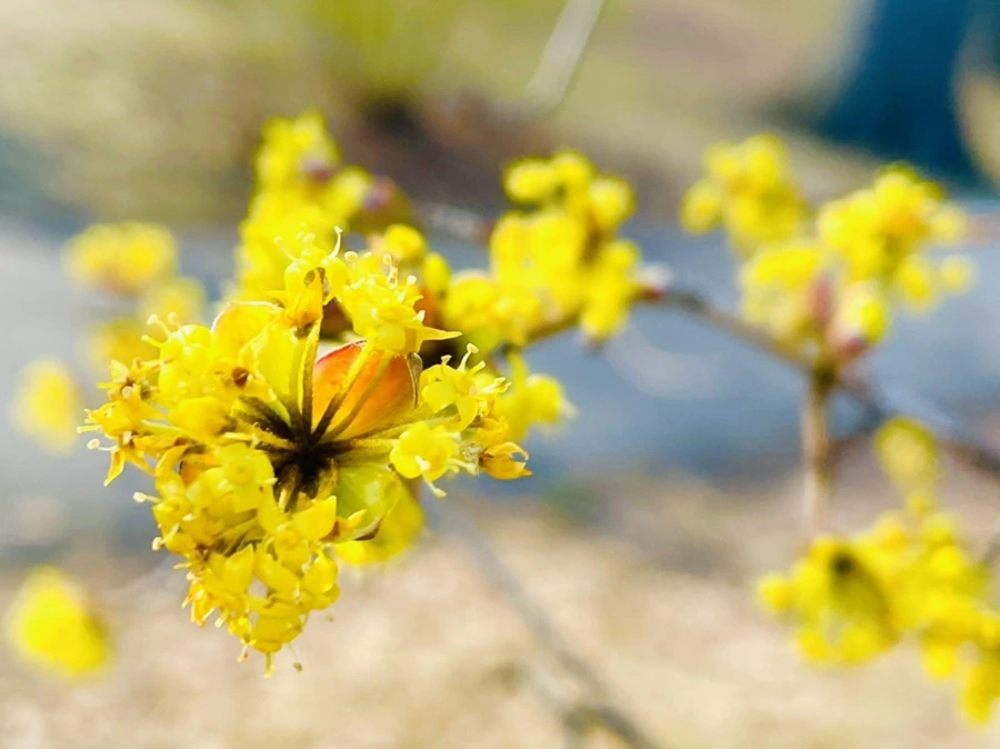 IMG_5936.jpg?type=w966