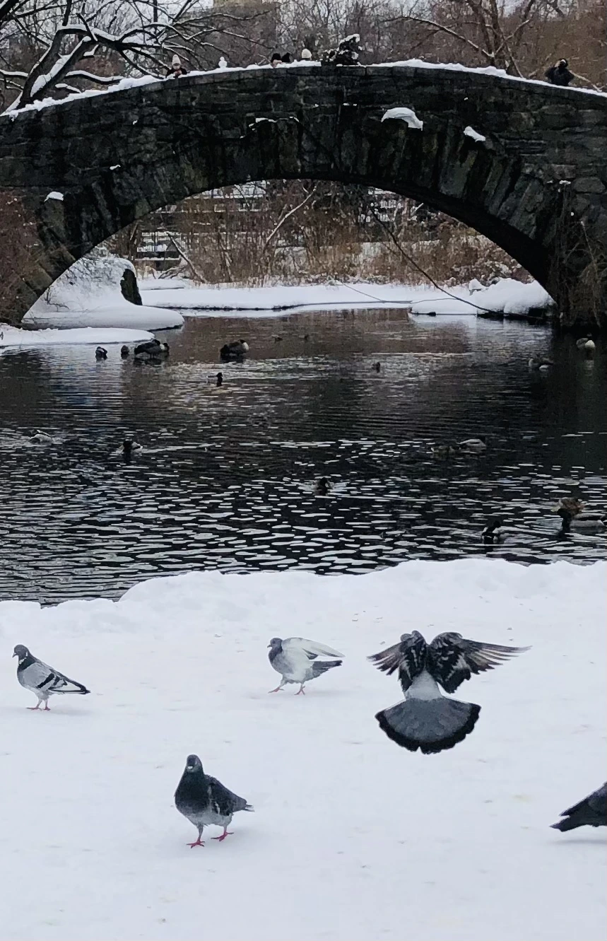 IMG_9588.jpg?type=w966