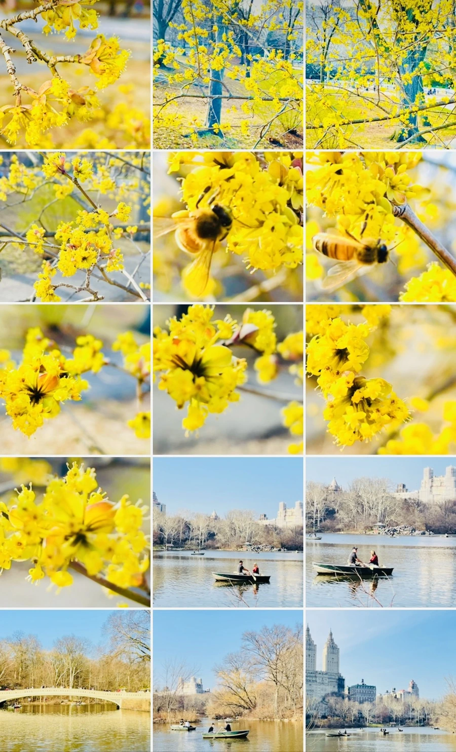 IMG_6004.jpg?type=w966