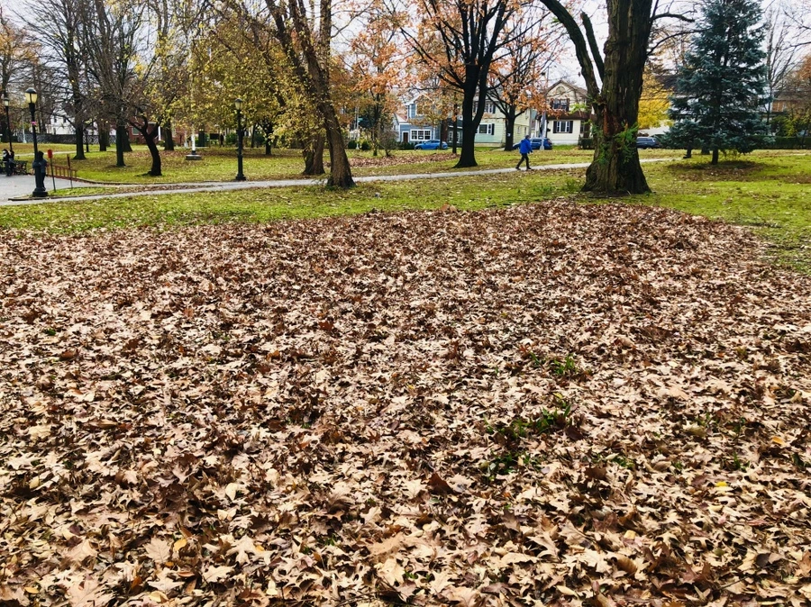 IMG_5450.jpg?type=w966