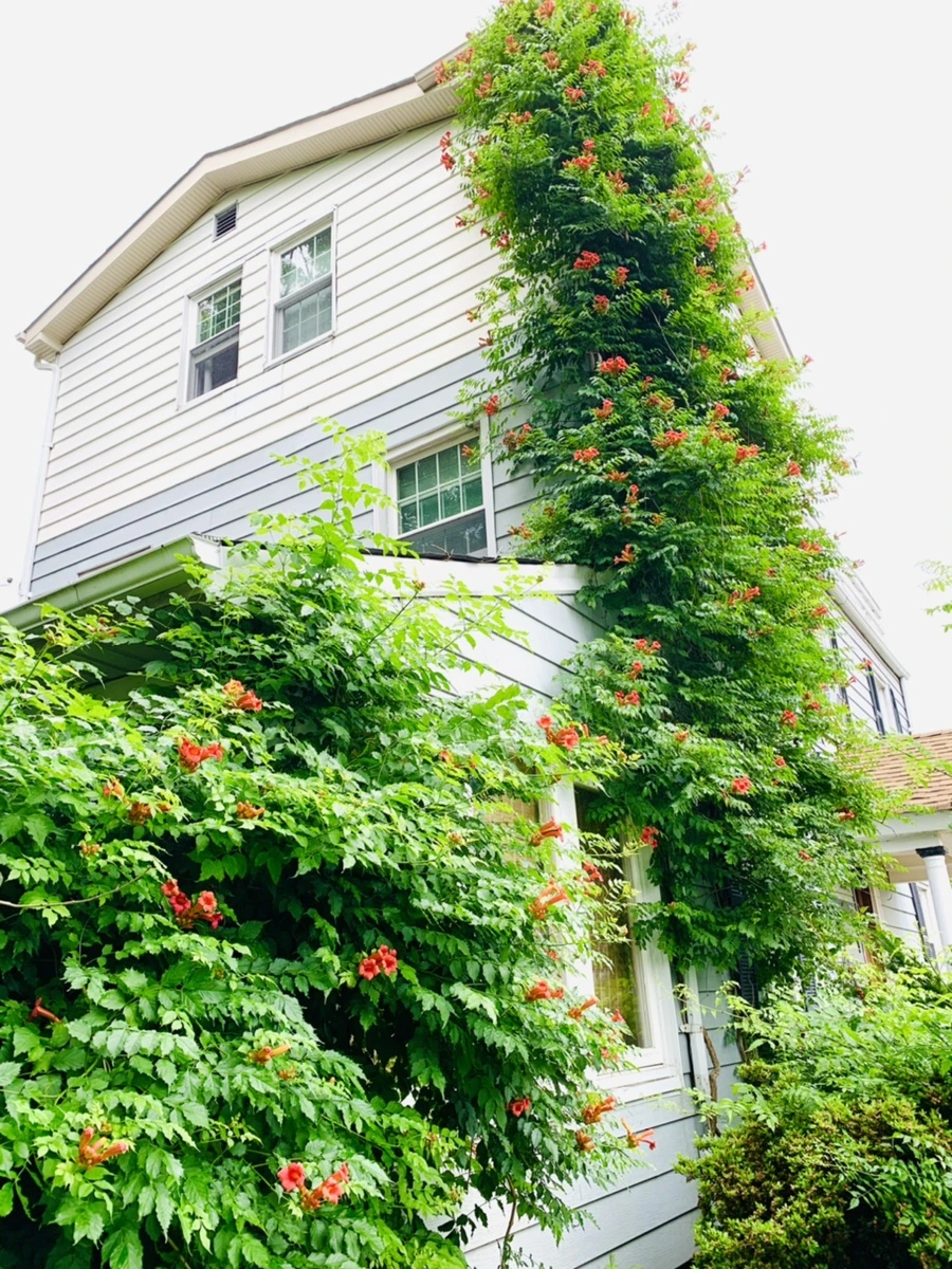 IMG_6943.jpg?type=w966