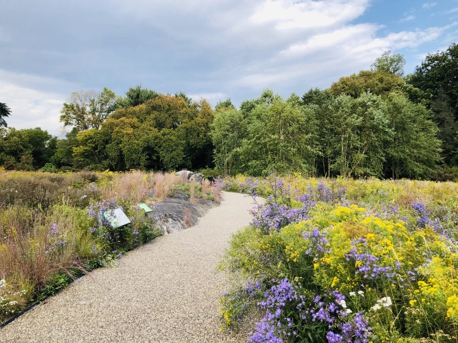 IMG_1597.jpg?type=w966