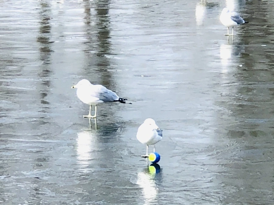 IMG_4683.jpg?type=w966