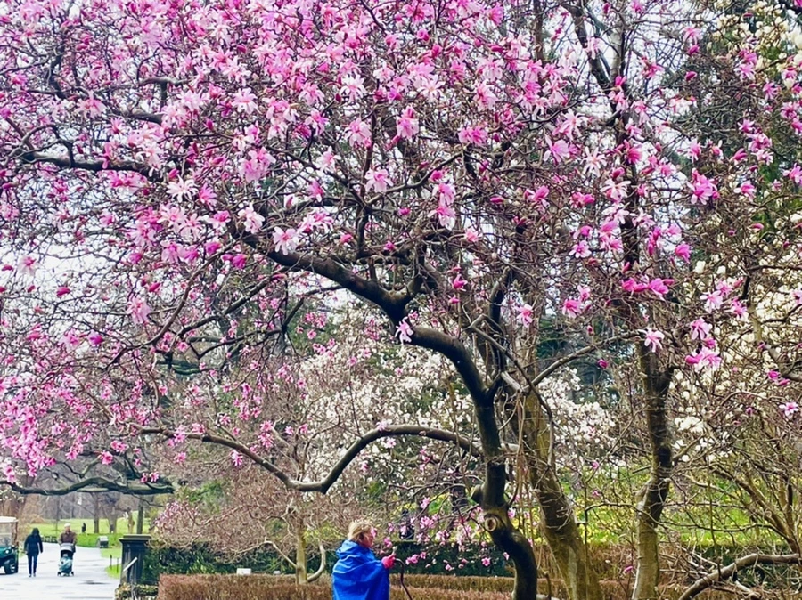 IMG_7375.jpg?type=w966