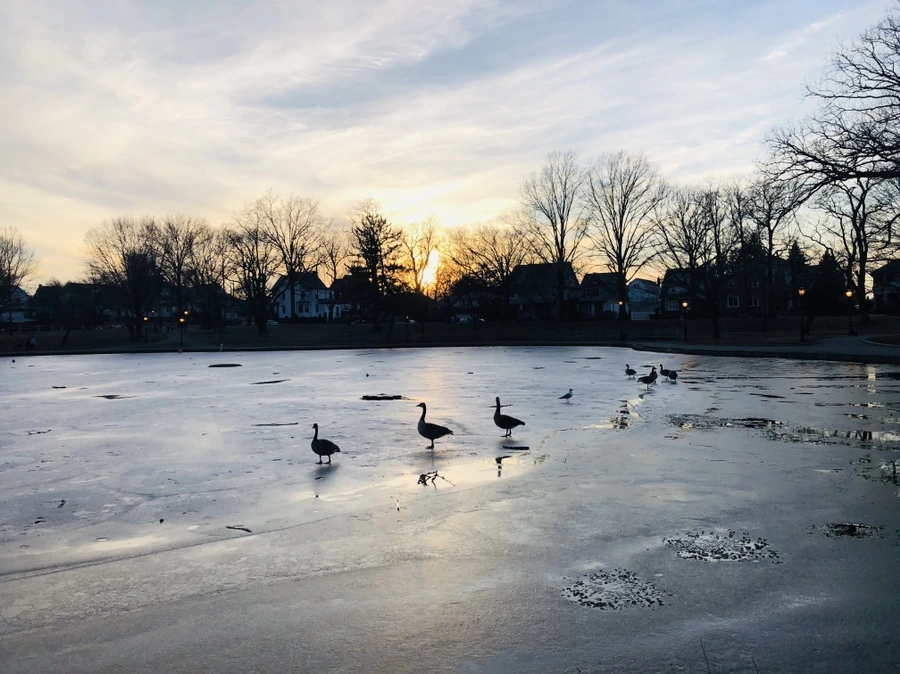 IMG_9238.jpg?type=w966