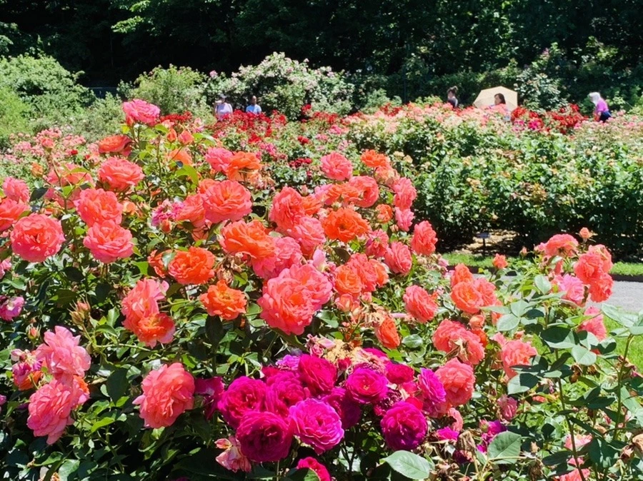 KdcHqXC_pHr9U72naJurBVOtOaA