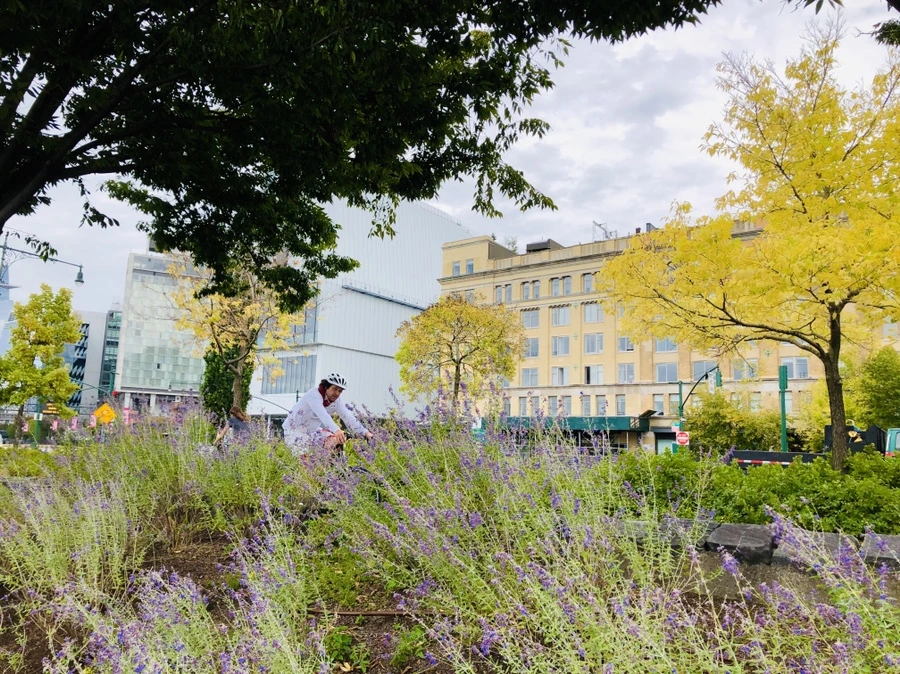 IMG_1260.jpg?type=w966