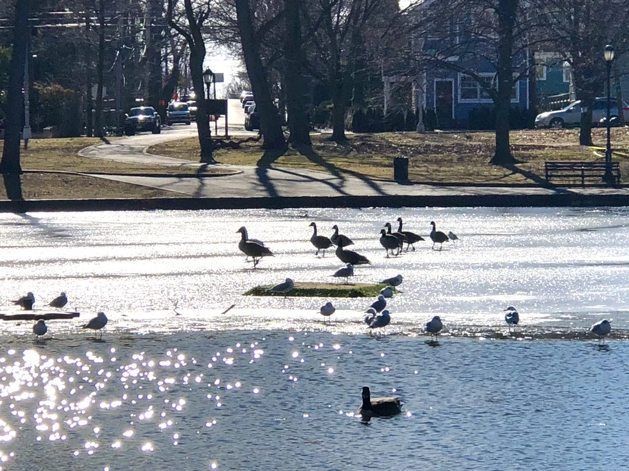 IMG_6662.jpg?type=w966