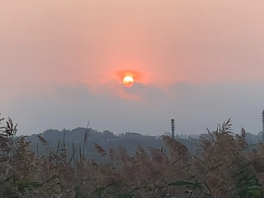 IMG_1124.jpg?type=w966