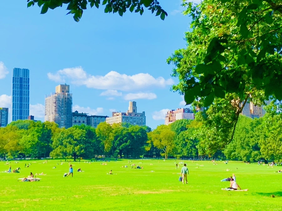 IMG_9663.jpg?type=w966