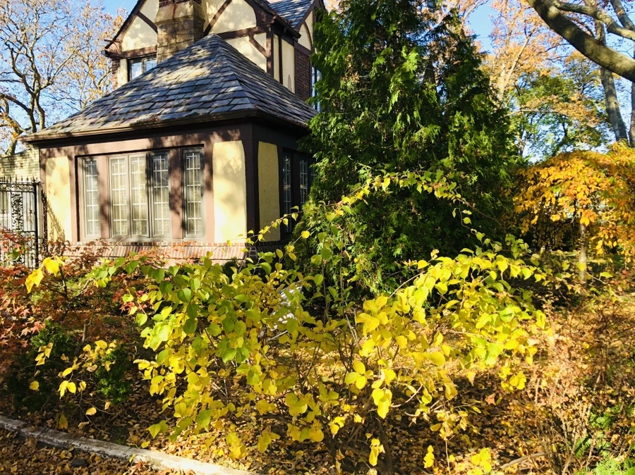 IMG_4151.jpg?type=w966