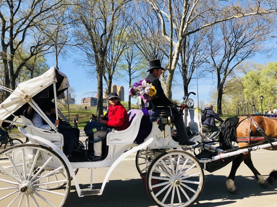 IMG_3115.jpg?type=w966