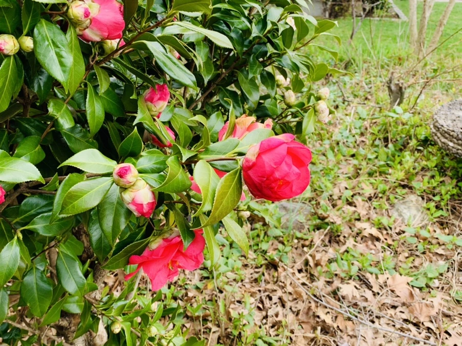 IMG_6649.jpg?type=w966