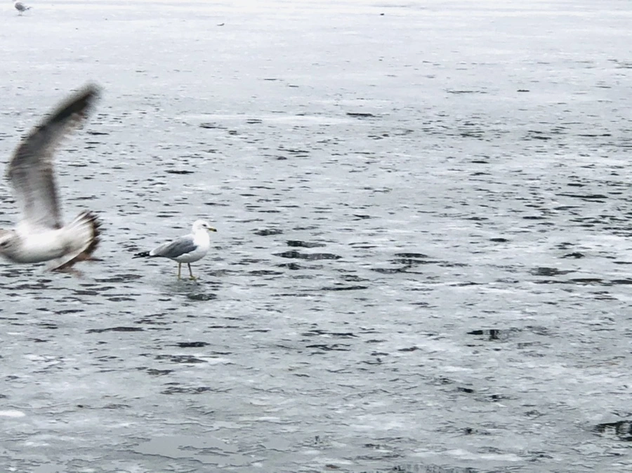 IMG_5604.jpg?type=w966