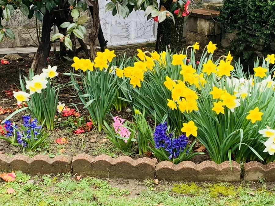 IMG_6102.jpg?type=w966