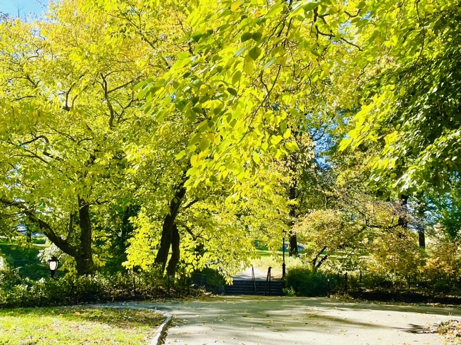 IMG_0554.jpg?type=w966