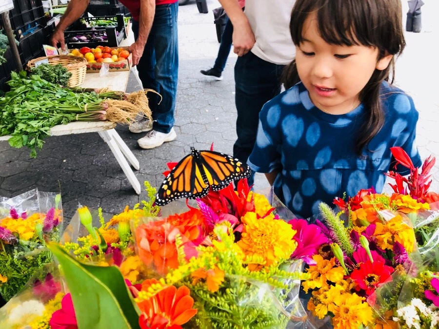 IMG_4424.jpg?type=w966